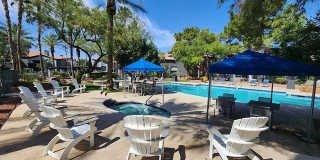 Arium Meadows Gallery 10