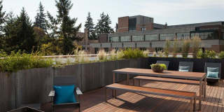 TreeHouse Gallery 16