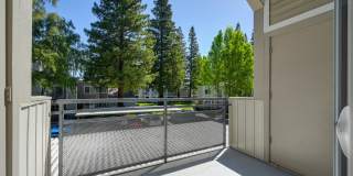 Rush River Gallery 8