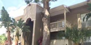 2 Bed/1 Bath, Ground Floor unit at Serravella at Spring Valley! AVAILABLE NOW! Gallery 1