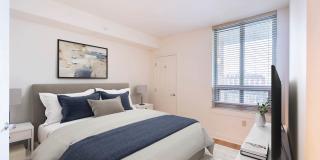 The Veridian Gallery 14