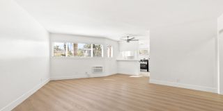 PW 4143 Gallery 3