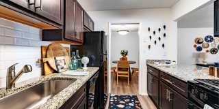 The Dakota at Druid Hills Gallery 19