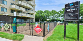 Premier at Cherry Hill Gallery 22