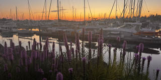 40 Bellwether Way Gallery 2