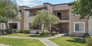 Silverbell Springs Gallery 42