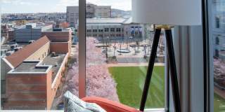 Strata Symphony Gallery 3