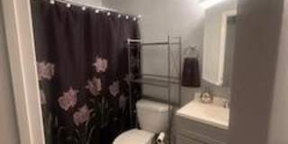 3142 QUARTET Lane unit: 255 Gallery 9