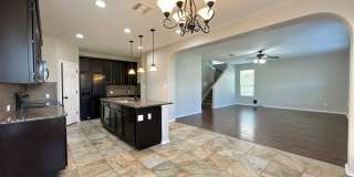 Viewable Now!  Small Dogs Accepted! Gallery 10