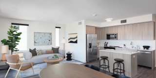 Star Harbor Gallery 8