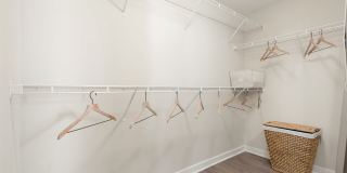 Cortland Hollywood Gallery 18
