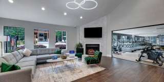 Emerald Place Gallery 11