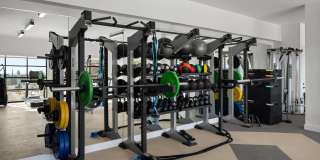 The Markson Gallery 42