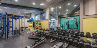 The Encore Gallery 28