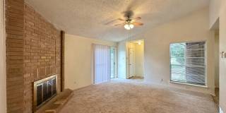 Viewable Now!  Small Dogs Accepted! Gallery 6