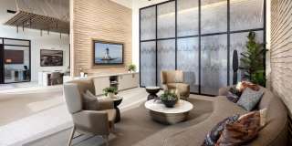 Vivo on Harbor Gallery 20