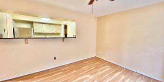 8864 WALUTES Circle Gallery 6