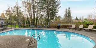 Charter Club Apartments Gallery 6