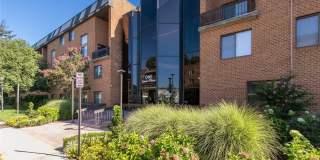 1 Ipswich Avenue Gallery 1