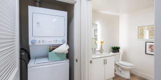 Altura at the Groves Gallery 37