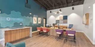 Cortland at P83 Gallery 42