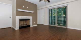 Autumn Wood Gallery 9