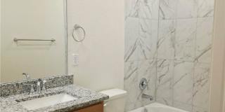 3805 Sugar Hackberry Trail Gallery 16