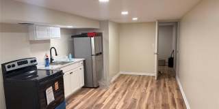 16 Lark Street Gallery 1