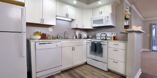 Whitmore Court Gallery 2