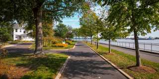 The Constitution Gallery 17