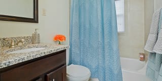 Colonial Square Gallery 12