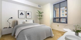 The Veridian Gallery 96