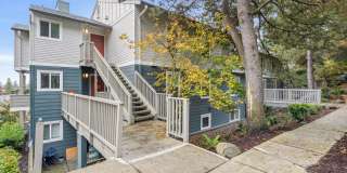 Skyline at Murrayhill Gallery 39