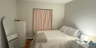 See YT Video!  No Fee!  Huge & Sunny Apt near Ts & Cleveland Cirlce.  Cat Friendly Gallery 4