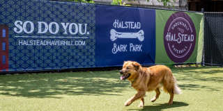 Halstead Haverhill Gallery 28