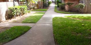 Pine Arbor Gallery 8