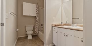 Windsong Gallery 10