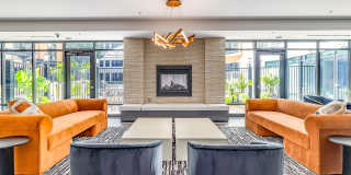 Maven at Wheaton Gallery 11