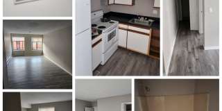 66 WEB LLC. Gallery 5