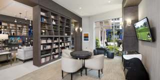 Maitland City Centre Gallery 18