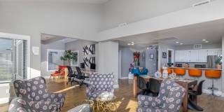 evRIA Diamond Valley Gallery 7