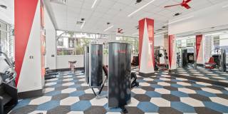 The Halstead Gallery 25