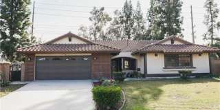 183 S Starflower Gallery 29