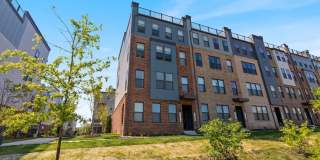 44504 WOLFHOUND Square Gallery 1