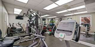 505 Collection Gallery 61