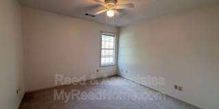 3066 Shadow Green Gallery 12