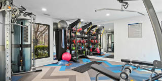 Cameron South Park Gallery 19