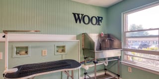 The Everett Gallery 17