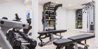 Alister Falls Church Gallery 25