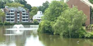 Lake View Condo - Move In Today Gallery 1